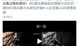 草莓姐姐爆料视频,揭秘幕后故事与精彩瞬间